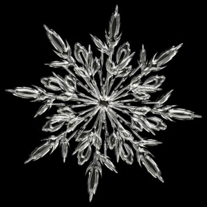 Snowflake motif for holiday labels