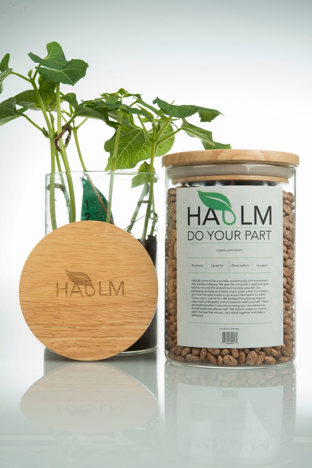 Haulm earth day plant label designed by Brenna Veenstra