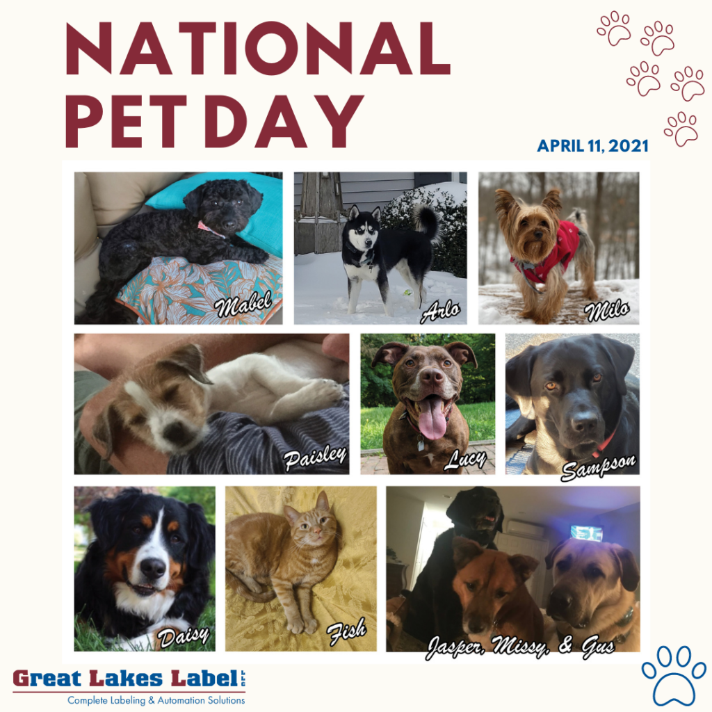 National Pet Day 2021 - employee spotlight