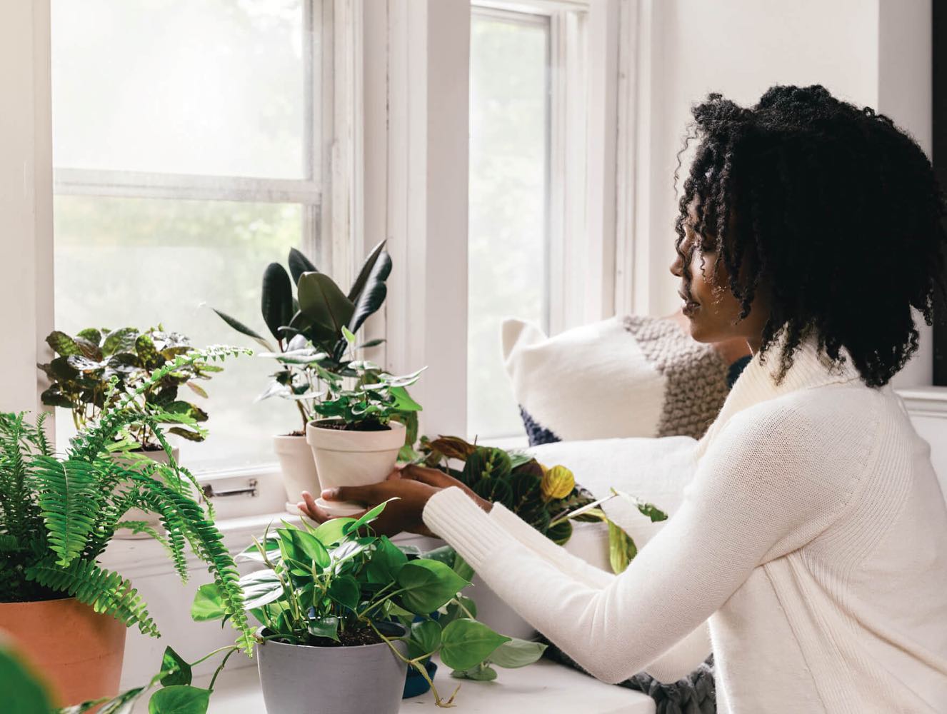 tending to houseplants to reap the benefits